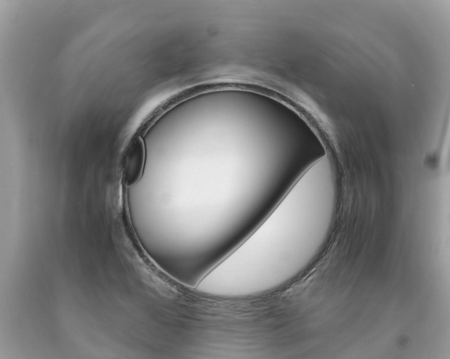 X0000094181368200710260922