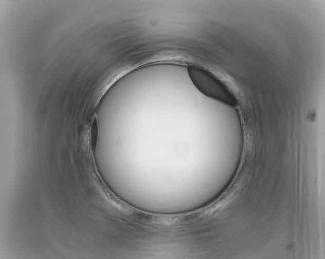 X0000094181369200710260922