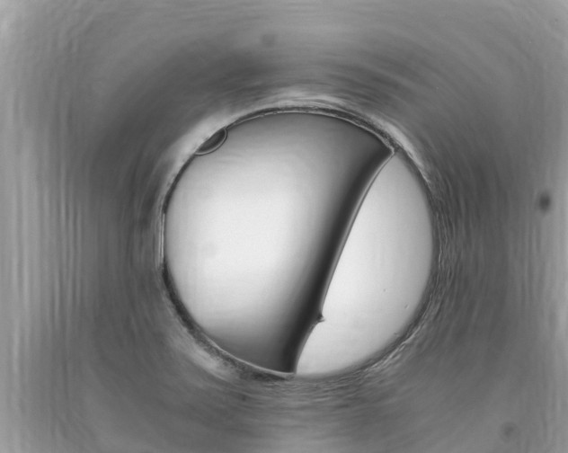 X0000094181371200710260922