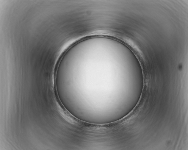 X0000094181372200710260922