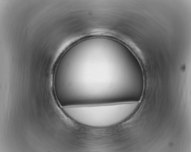X0000094181376200710260922