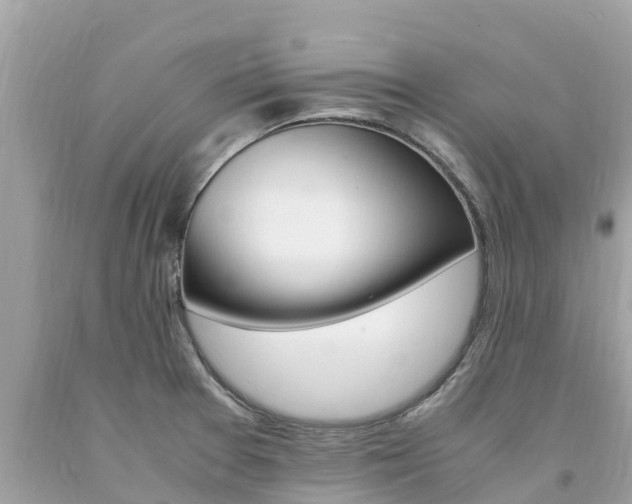 X0000094181377200710260922