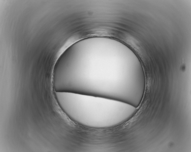 X0000094181378200710260922