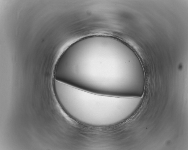 X0000094181379200710260922