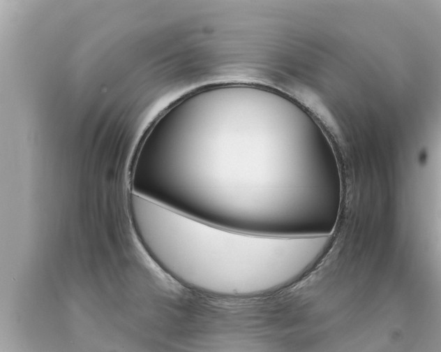 X0000094181380200710260922