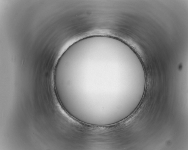 X0000094181382200710260922