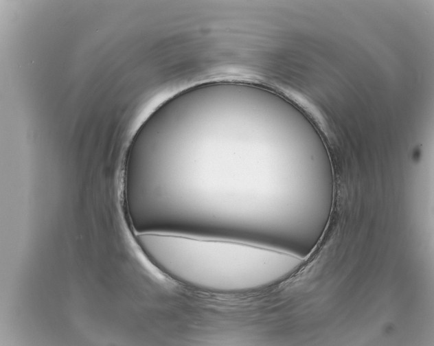 X0000094181383200710260922