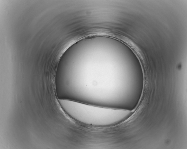 X0000094181385200710260922