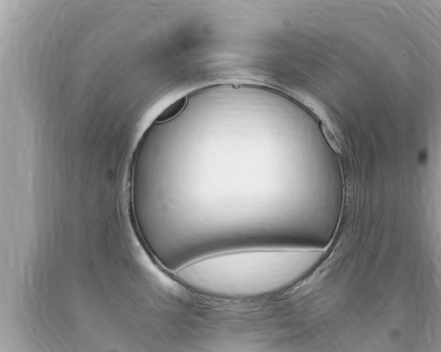 X0000094181387200710260922