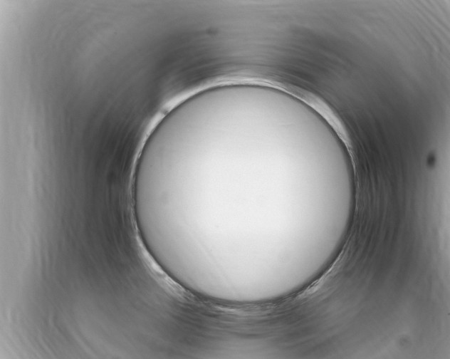 X0000094181388200710260922