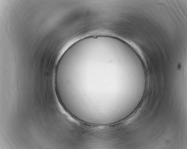 X0000094181390200710260922