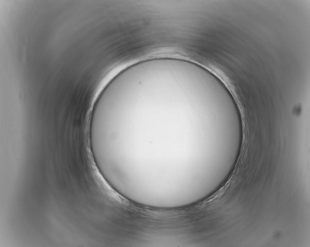 X0000094181392200710260921