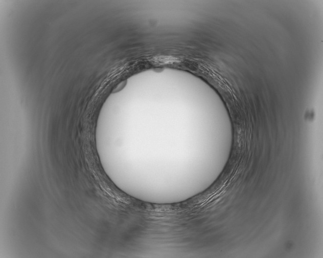 X0000094181393200710260921