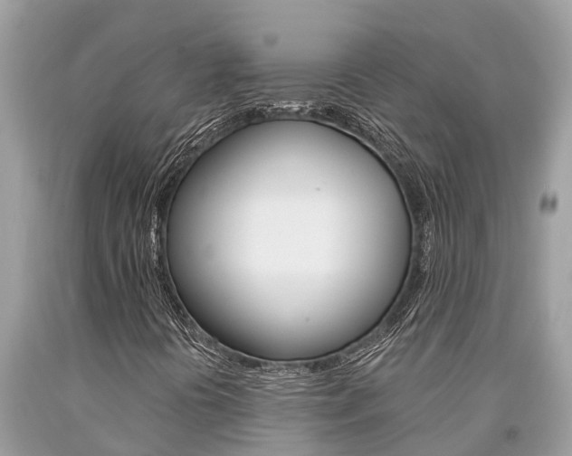X0000094181394200710260921