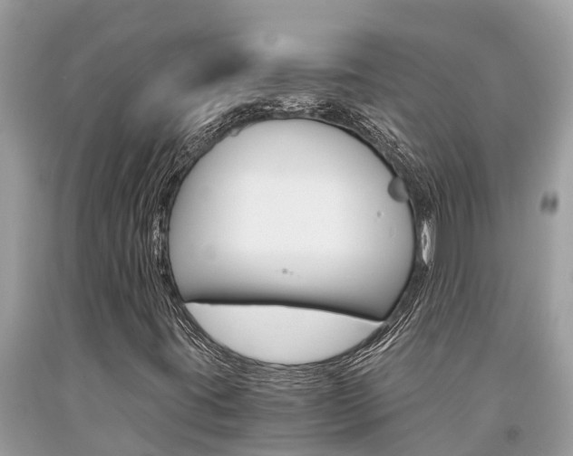 X0000094181395200710260921