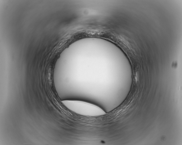 X0000094181396200710260921