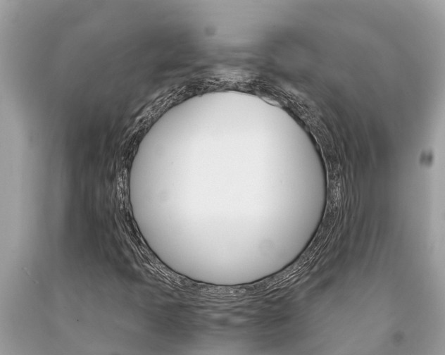 X0000094181397200710260921