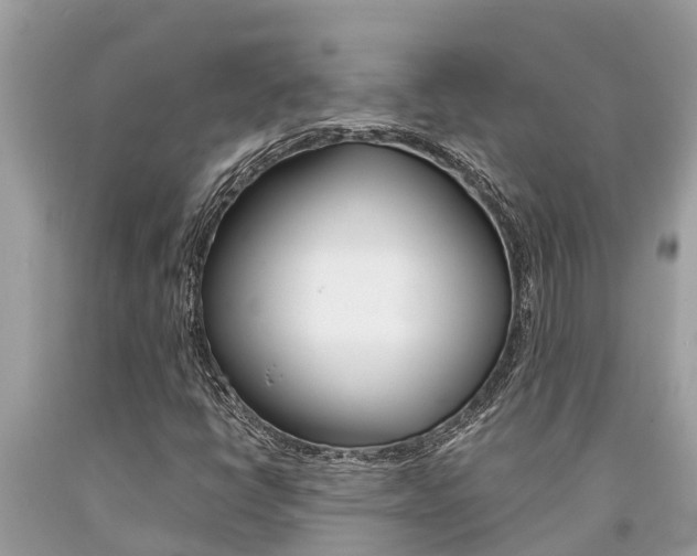 X0000094181398200710260921
