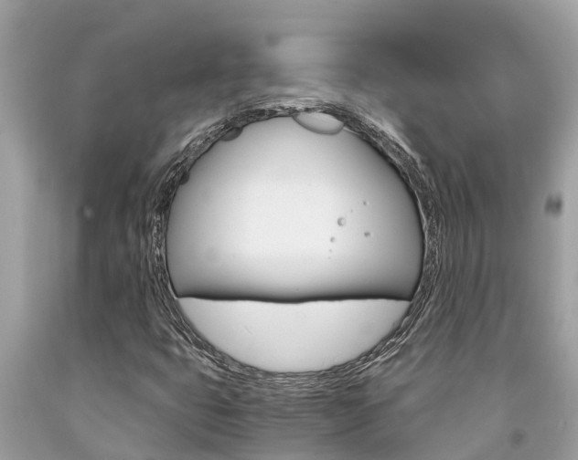X0000094181399200710260921