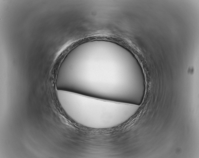 X0000094181400200710260921