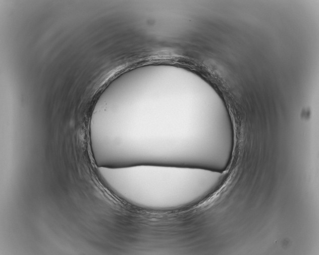 X0000094181401200710260921