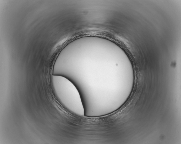 X0000094181403200710260921