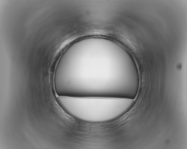 X0000094181404200710260921