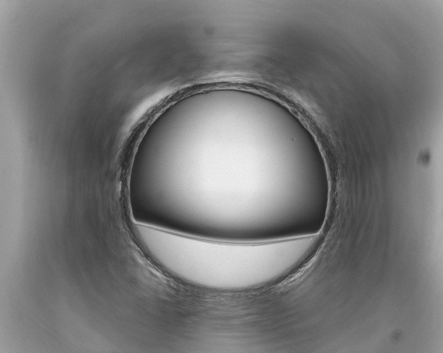 X0000094181406200710260921