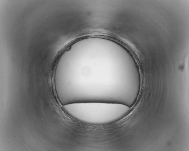 X0000094181407200710260921