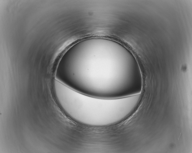 X0000094181410200710260921