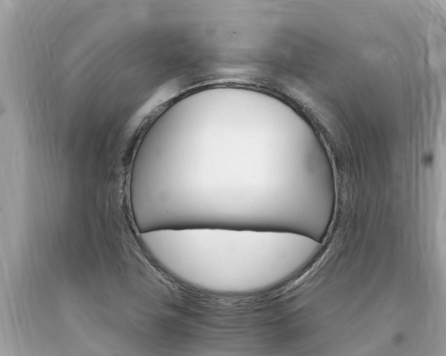 X0000094181411200710260921