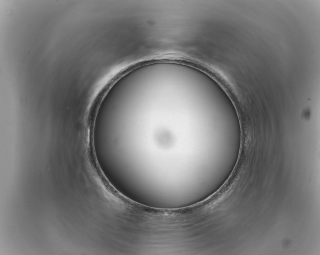 X0000094181414200710260921