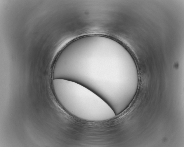 X0000094181415200710260921