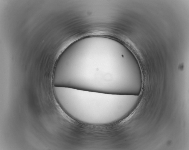 X0000094181417200710260921