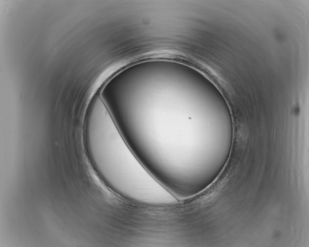X0000094181418200710260921