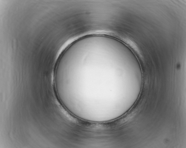 X0000094181420200710260921