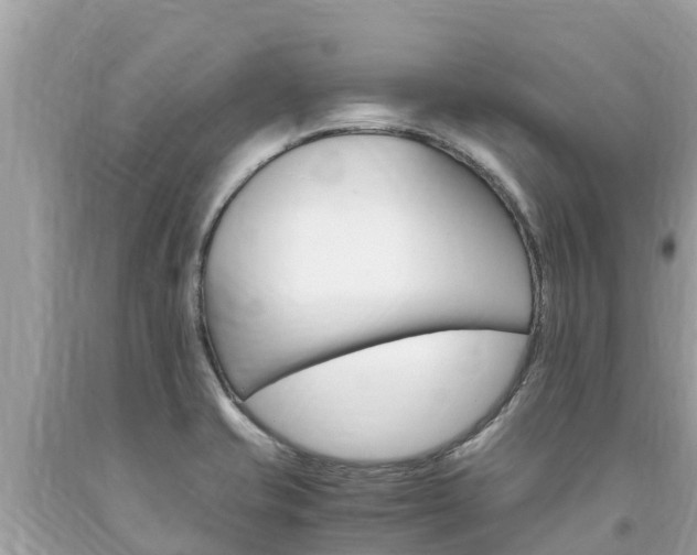 X0000094181421200710260921
