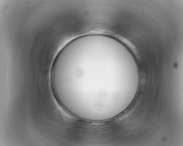X0000094181423200710260921