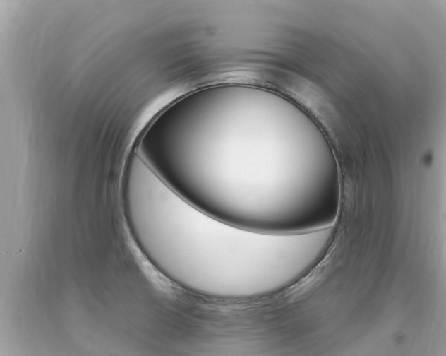 X0000094181426200710260921