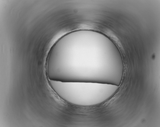X0000094181427200710260921
