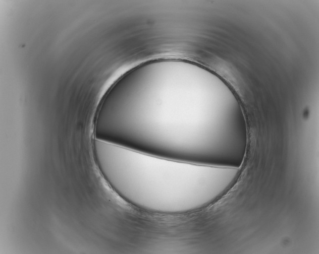 X0000094181428200710260921
