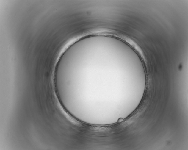 X0000094181429200710260921