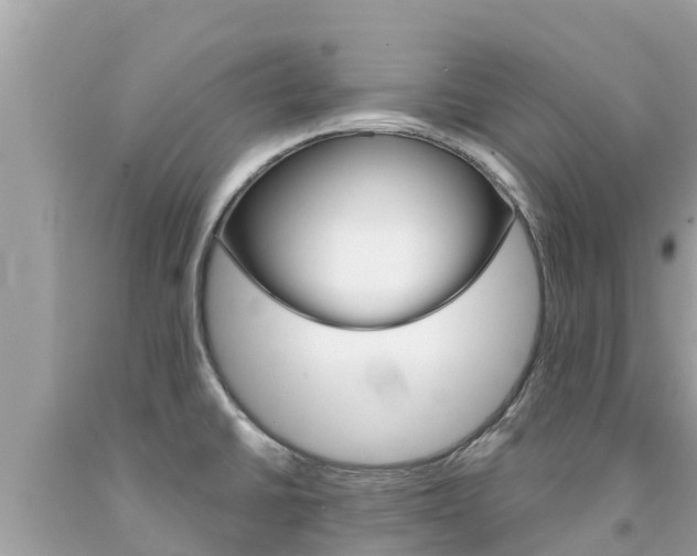 X0000094181430200710260921
