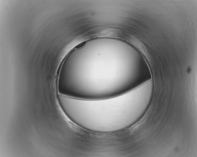 X0000094181434200710260921