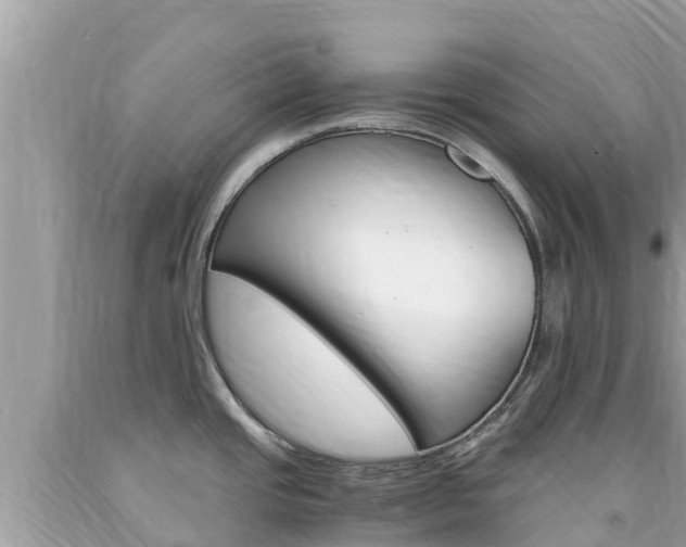 X0000094181437200710260921