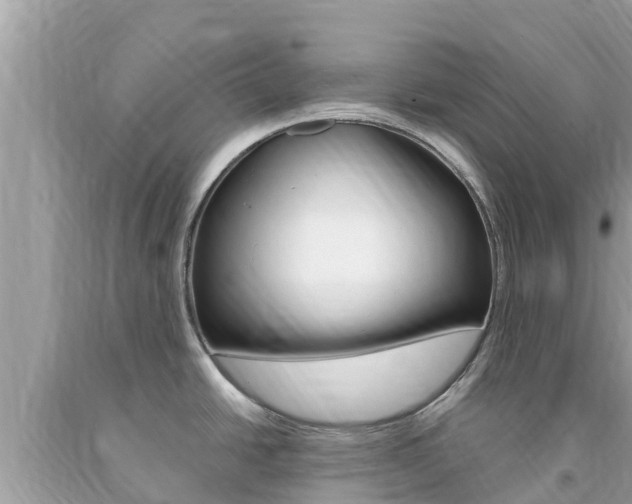X0000094181438200710260921