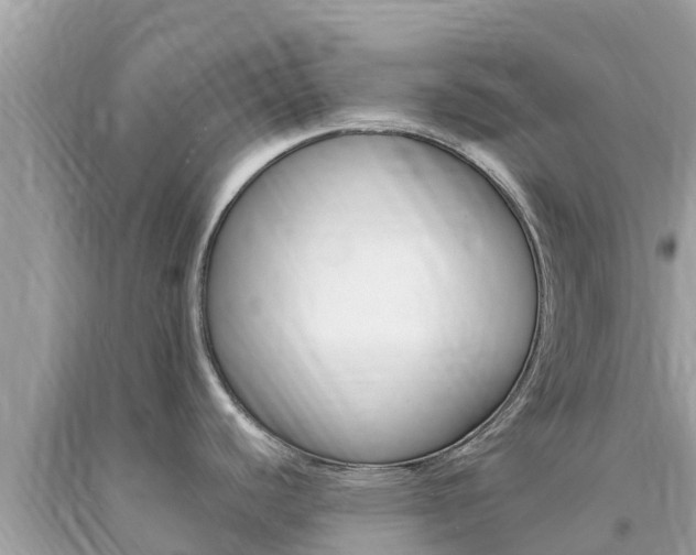 X0000094181440200710260921