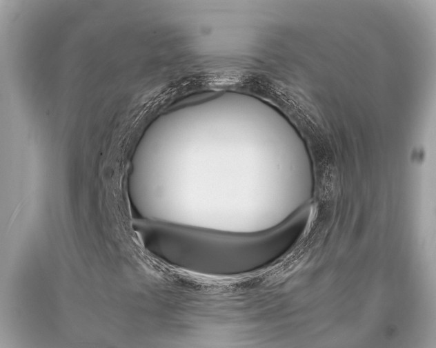 X0000094181441200710260921