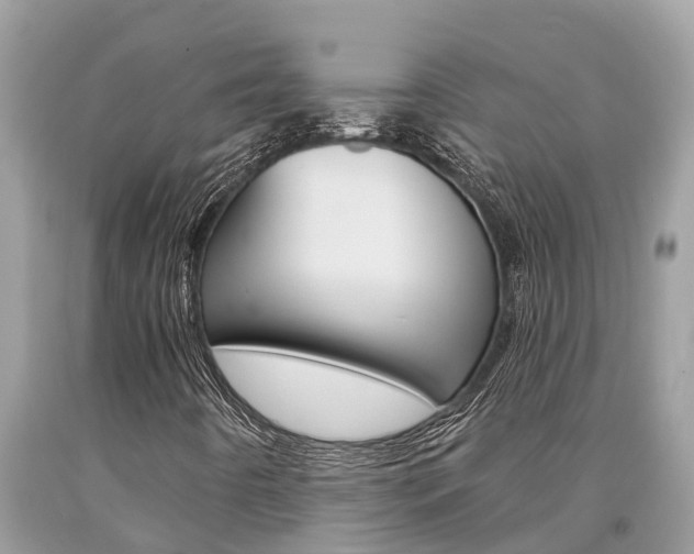 X0000094181442200710260921