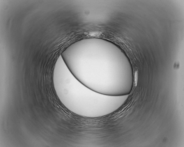 X0000094181443200710260921